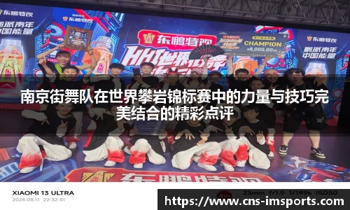 南京街舞队在世界攀岩锦标赛中的力量与技巧完美结合的精彩点评